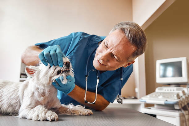 Best Emergency Tooth Extraction in Burns Flat, OK